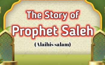 Prophet Saleh Alaihis Salam