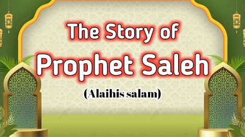 Prophet Saleh Alaihis Salam